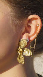 LÉA